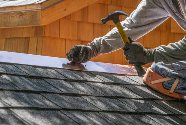 Best Sheet Metal Roofing  in Walnutport, PA