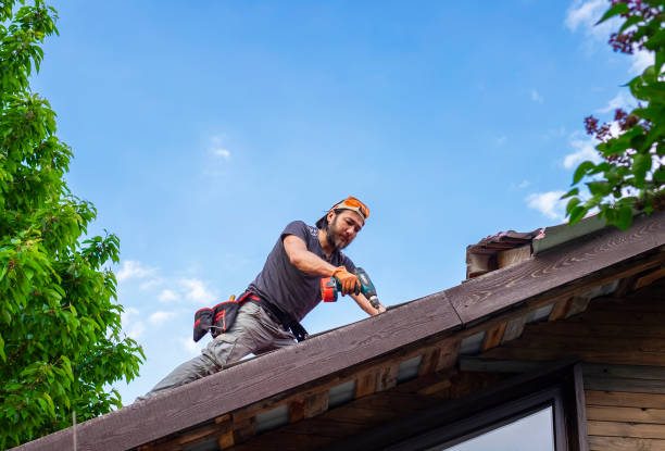Best Green or Eco-Friendly Roofing Solutions  in Walnutport, PA