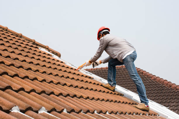 Best Skylights  in Walnutport, PA