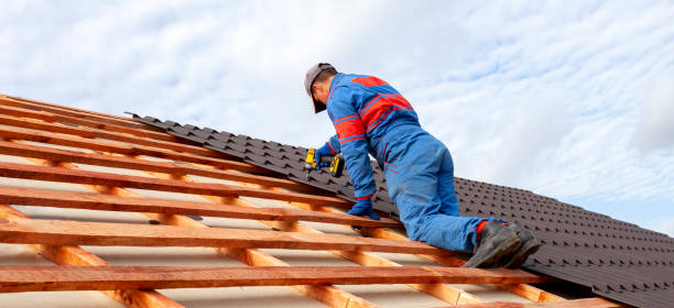 Best Skylight Installation and Repair  in Walnutport, PA
